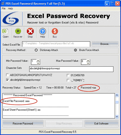 how to put password in excel file