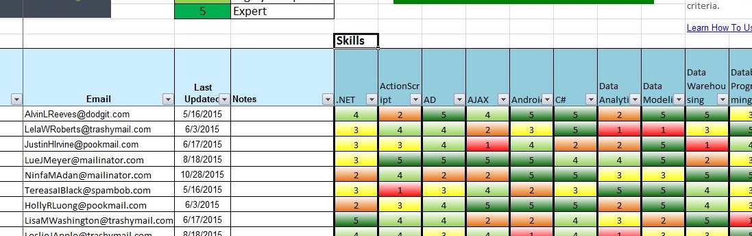 employee skills database template