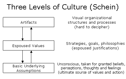3 Culture Levels (MBA)