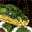 3D Snake Arena 3d snake arena