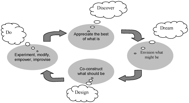 4D Appreciative Inquiry Software MEGA