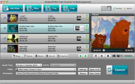 4Videosoft MKV Video Converter for Mac