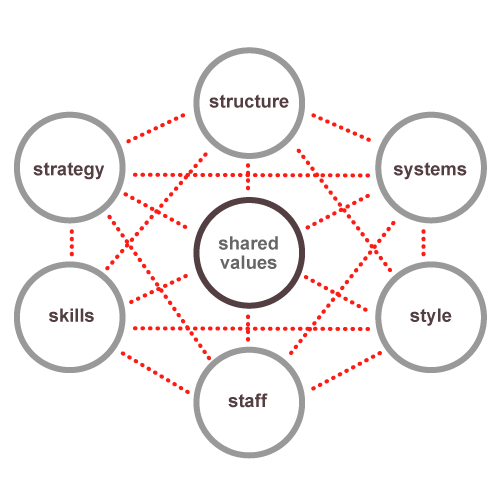 7 S Framework Software