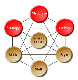 7s Strategy Software Model, Framework