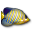 Animated Fish Desktop Wallpaper animated fish desktop wallpaper