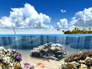 Download Aqua Dolphins 3D Screensaver