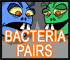 Bacteria Pairs