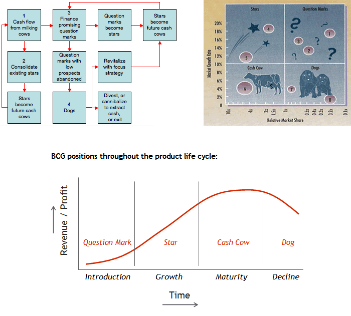 BCG-MODEL-Software