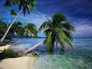 Download Beautiful Tropical Islands vol.1