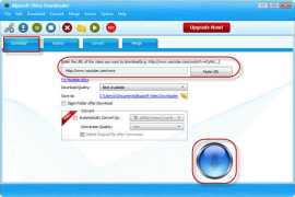 Bigasoft Video Downloader