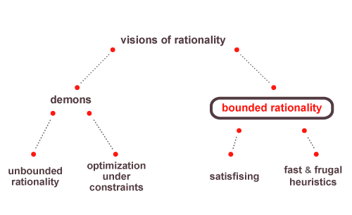 Bounded Rationality Software