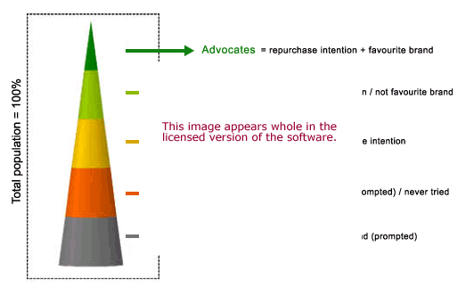 Brand Performance Software