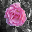 BrightSpot brightspot