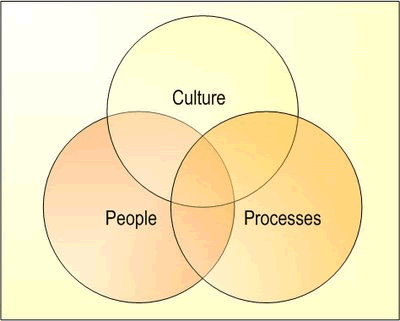 Business Consultant Software