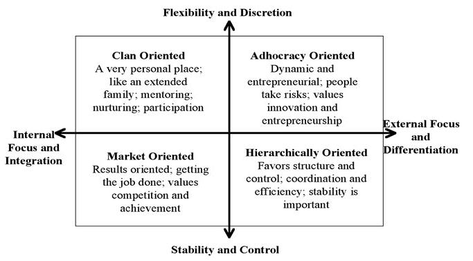 Changing Organizational Cultures (MEGA)