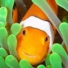 Clownfish for Skype clownfish for skype