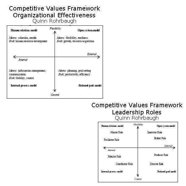 Competing Values Framework (MEGA)