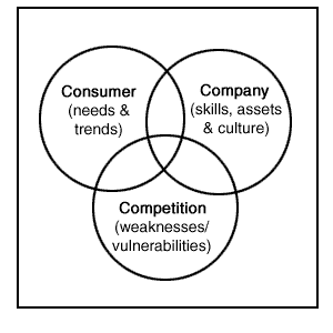 Competitor Strategies Software MEGA