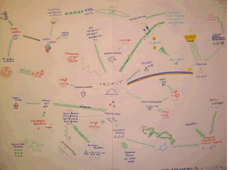 Consensus Mapping Software