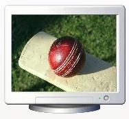 Download Cricket Screen Saver
