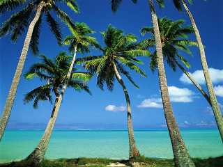 Download dArt Tropical Islands vol.1