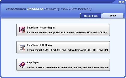 Download DataNumen Database Recovery