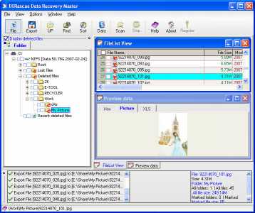 Download DERescue Data Recovery Master