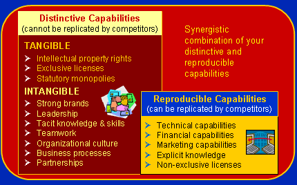Distinctive Capabilities (MBA)