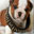 Dog Name Generator
