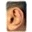 Dolce Ear Training