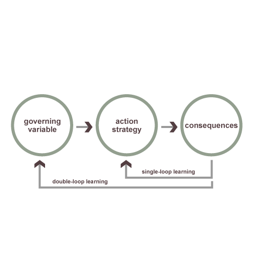 Double Loop Learning (MBA)