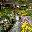Dream Gardens 2 dream gardens 2