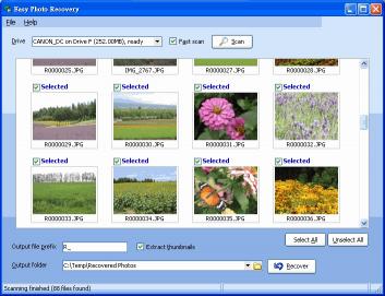 Download Easy Photo Recovery