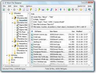 Download EF Multi File Renamer