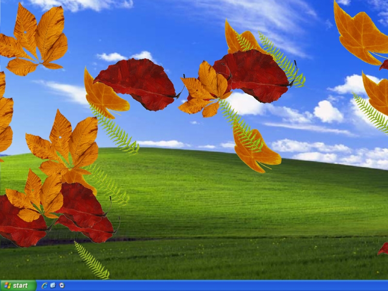 eipc autumn leaves screensaver standaloneinstaller com