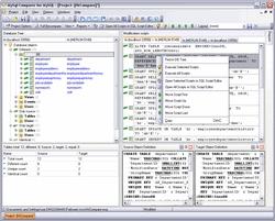 Download EMS DB Comparer for MySQL