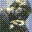 Falco Chess falco chess