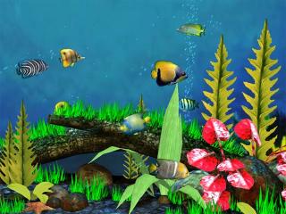 Download Fish Aquarium 3D Screensaver