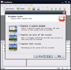 Download FlashDemo Screen Recorder
