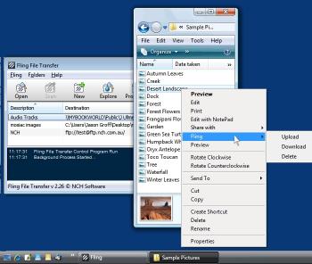 Download Fling Free FTP Uploader Software