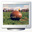 Football Screen Saver football screen saver