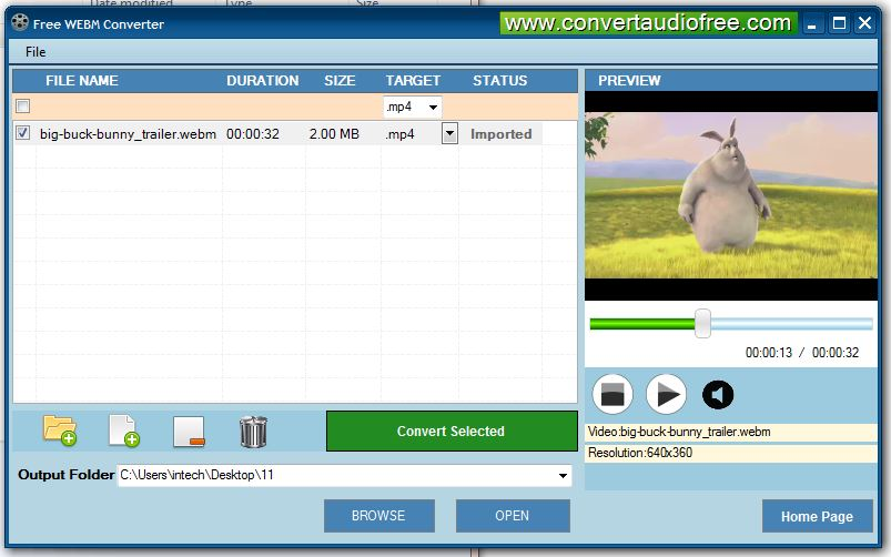 free webm converter download