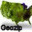 Geozip geozip