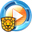 GoldenShield Video Encryption Tool