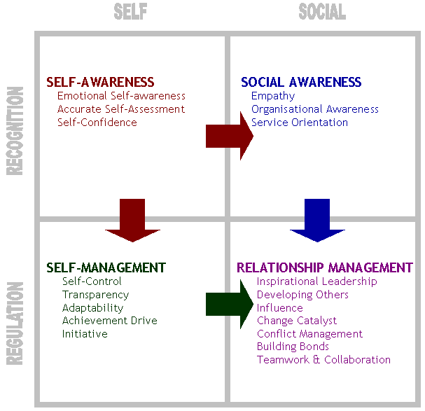 Goleman Emotional Intelligence (MEGA)
