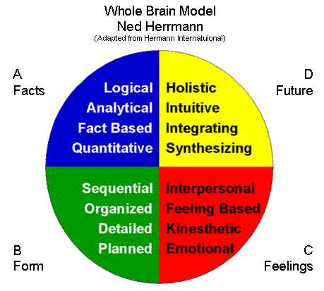 Herrmann Whole Brain Model (MBA)