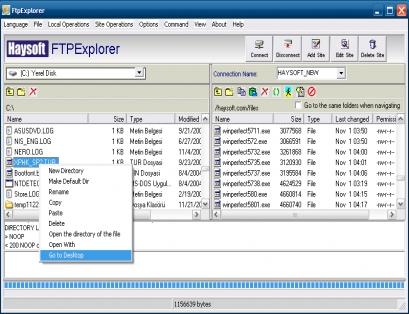 Download HS FTPExplorer
