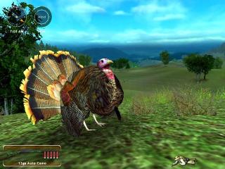 Download Hunting Unlimited 2008