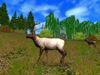 Download Hunting Unlimited 2009