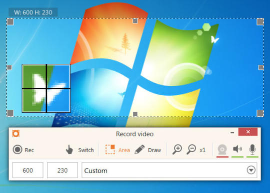 Icecream Screen Recorder 7.26 instal the new version for windows